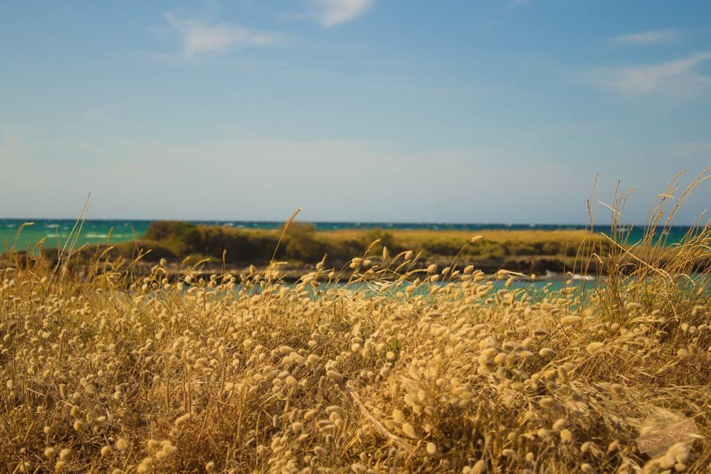 Vila Borgo Degli Artisti Ostuni Exteriér fotografie